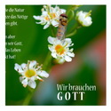 Wir brauchen Gott - In jeder pflanze steckt Leben. Sie braucht Licht, ...Nelli Müller