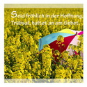Seid fröhlich in der Hoffnung, geduldig in Trübsal, ... Römer 12, 12