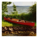 Ich liege und schlafe ganz mit Frieden; ... Psalm 4, 9