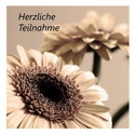 Der Herr ist denen nahe, die zerbrochenen Herzens sin ... Psalm 34, 19