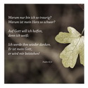 Warum nur bin ich so traurig? ... Psalm 42, 6